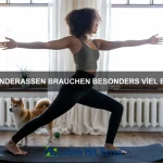 Welche Haustiere sind am pflegeleichtesten?