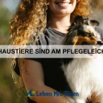Welche Tiere haben die empfindlichsten Nasen?