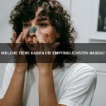 Welche Haustiere sind am pflegeleichtesten?