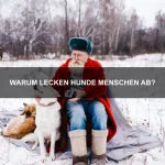 Welche Tiere können menschliche Emotionen erkennen?