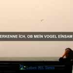 Tiere mit den stärksten Kiefern – Wer hat den härtesten Biss?