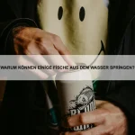 Wie schütze ich mein Haustier vor Hitze?