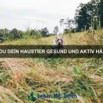 Die besten Methoden zur Fellpflege bei Hunden und Katzen