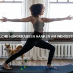 Warum schlafen Hunde mit offenen Augen?