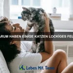 Warum gibt es leuchtende Quallen?