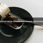 Welche Tiere sind besonders gute Kletterer?