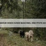 Warum haben einige Tiere Stacheln?