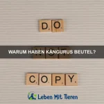 Welche Tiere sind am besten an die Wüste angepasst?