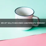 Warum sind Elefanten so intelligent?