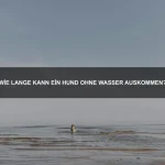 Welche Tiere können ihre Körpertemperatur selbst regulieren?