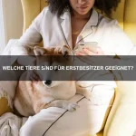 Wie bringe ich meinem Hund bei, auf Befehle zu hören?
