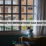 Warum ist eine artgerechte Ernährung so wichtig?