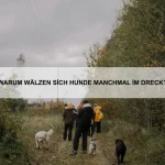 Welche Tiere haben die längsten Hälse?