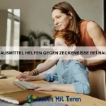 Warum Katzen manchmal an Menschen reiben?