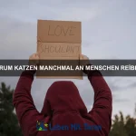 Welche Hausmittel helfen gegen Zeckenbisse bei Haustieren?