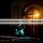 Welche Fische sind am besten für Anfänger geeignet?