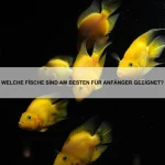 Die besten Tipps für die Eingewöhnung eines neuen Haustiers