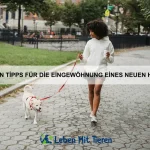 Welche Fische sind am besten für Anfänger geeignet?