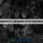 Welche Tiere haben die stärksten Muskeln?