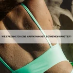 Welche Tiere haben die beeindruckendsten Sozialstrukturen?