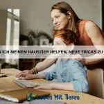 Wie erkennen Hunde die Stimmung ihrer Besitzer?