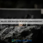 Wie vermeide ich Übergewicht bei meinem Haustier?