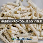 Wie kann ich meinem Haustier helfen, sich nach einer Verletzung zu erholen?