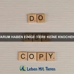 Wie kann ich meinem Haustier helfen, sich an eine neue Umgebung zu gewöhnen?