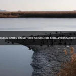 Warum haben einige Tiere eingebaute Giftstoffe?