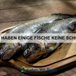 Welche Tiere haben die größten Augen im Verhältnis zu ihrem Körper?