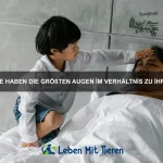 Welche Tiere können ihre Hautfarbe in Sekunden ändern?
