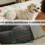 Warum haben einige Tiere reflektierende Augen?