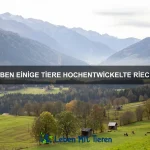 Warum gibt es Tiere, die ohne Magen überleben können?