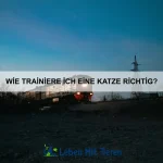 Welche Tiere haben die stärksten Knochen?