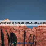 Warum gibt es Tiere mit Selbstheilungskräften?