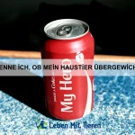 Wie kann ich meinem Haustier eine sichere Umgebung schaffen?