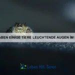 Warum haben einige Tiere leuchtende Haut?