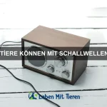 Welche Tiere haben die stärksten Muskeln?