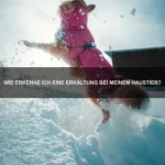 Welche Tiere können Farben sehen, die Menschen nicht wahrnehmen?