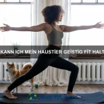 Wie kann ich meinem Haustier helfen, sich an eine neue Routine zu gewöhnen?