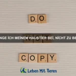 Warum haben einige Tiere eine eingebaute Tarnung?