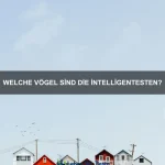 Tiere mit den größten Flügelspannweiten