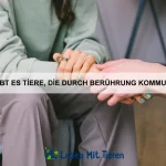 Wie erkenne ich, ob mein Haustier unter Angst leidet?
