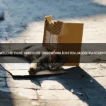 Wie kann ich meinem Haustier helfen, sozialer zu werden?
