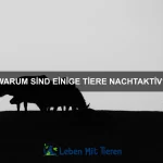 Welche Tiere können sich am besten an Umweltveränderungen anpassen?