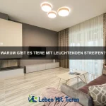 Wie erkenne ich, ob mein Haustier Angst hat?
