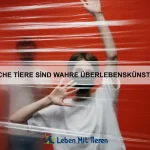 Warum sind einige Tiere extrem klein?