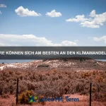 Welche Tiere sind wahre Überlebenskünstler?
