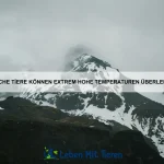 Welche Tiere können ihre Umgebung als Waffe nutzen?