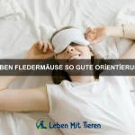 Welche Tiere können extrem hohe Temperaturen überleben?